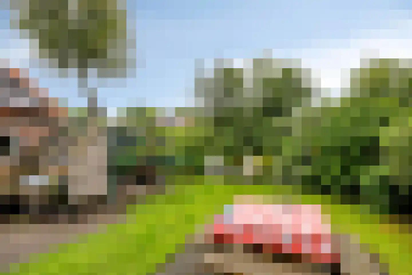 Brinkstraat 15 Diever thumbnail 34