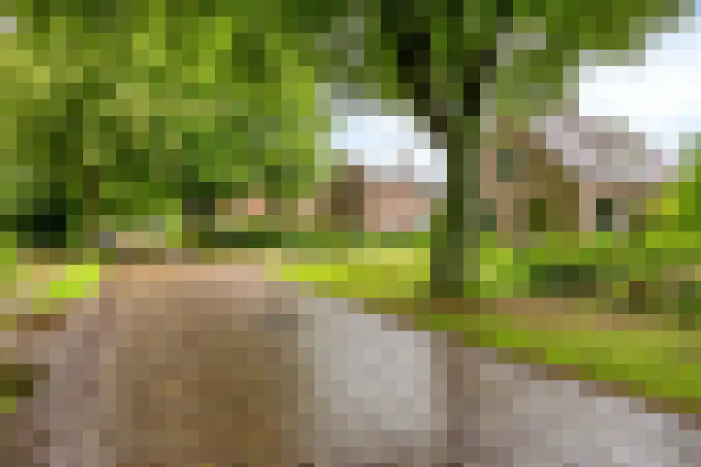 Brinkstraat 15 Diever thumbnail 36