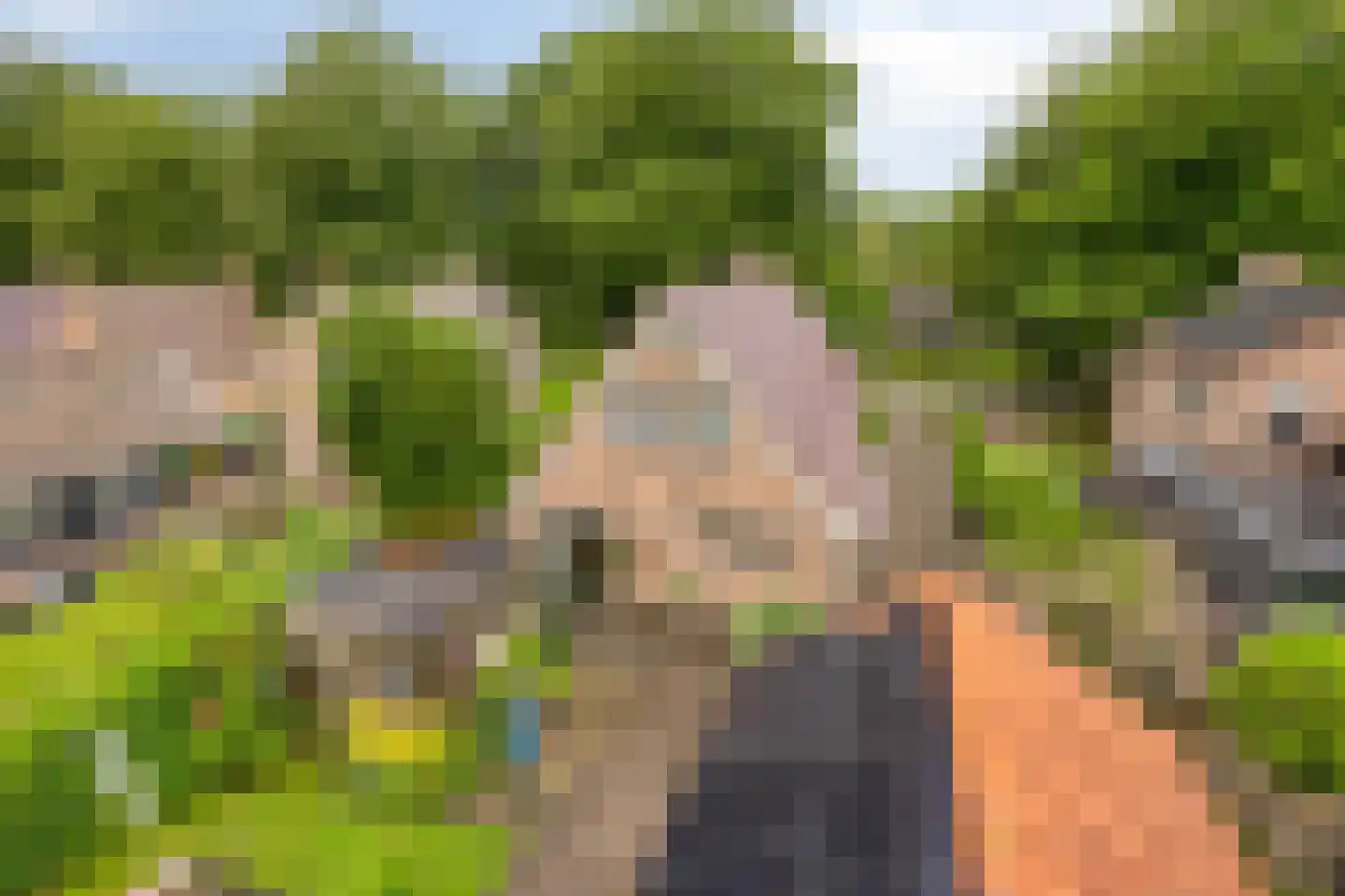 Brinkstraat 15 Diever thumbnail 4