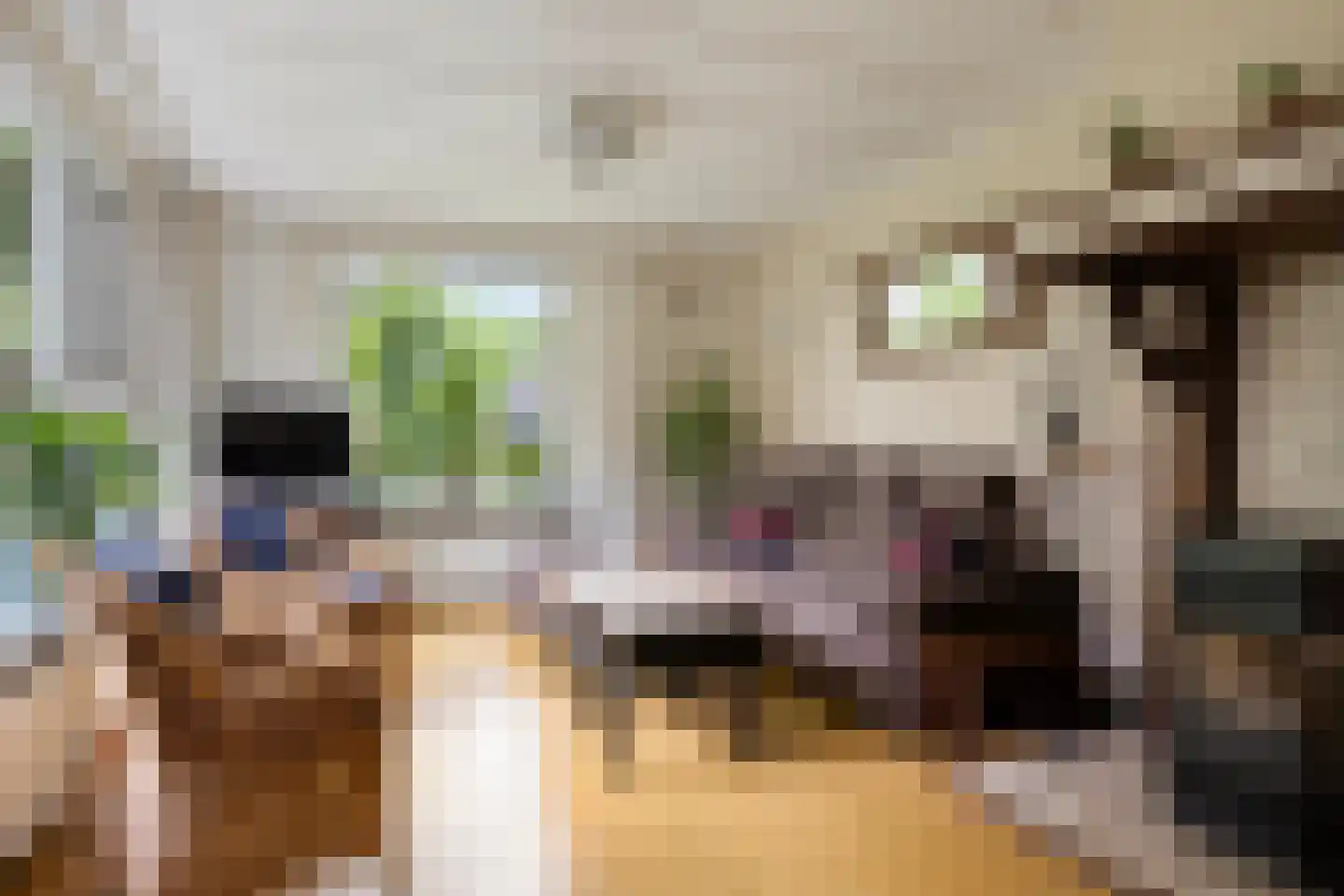Brinkstraat 15 Diever thumbnail 8