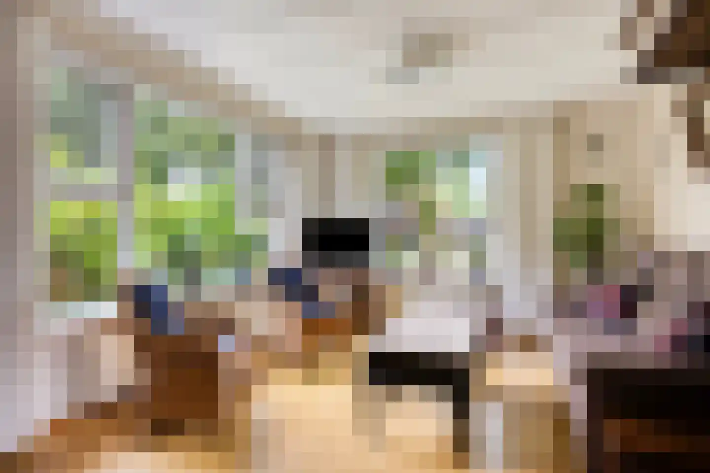Brinkstraat 15 Diever thumbnail 9