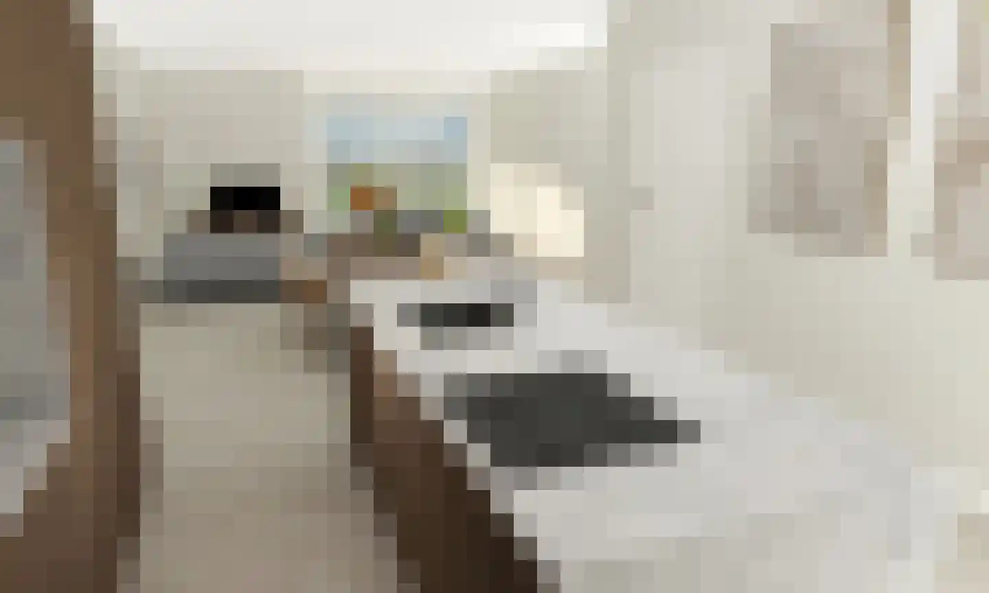 Brinkstraat 15 Vries thumbnail 4