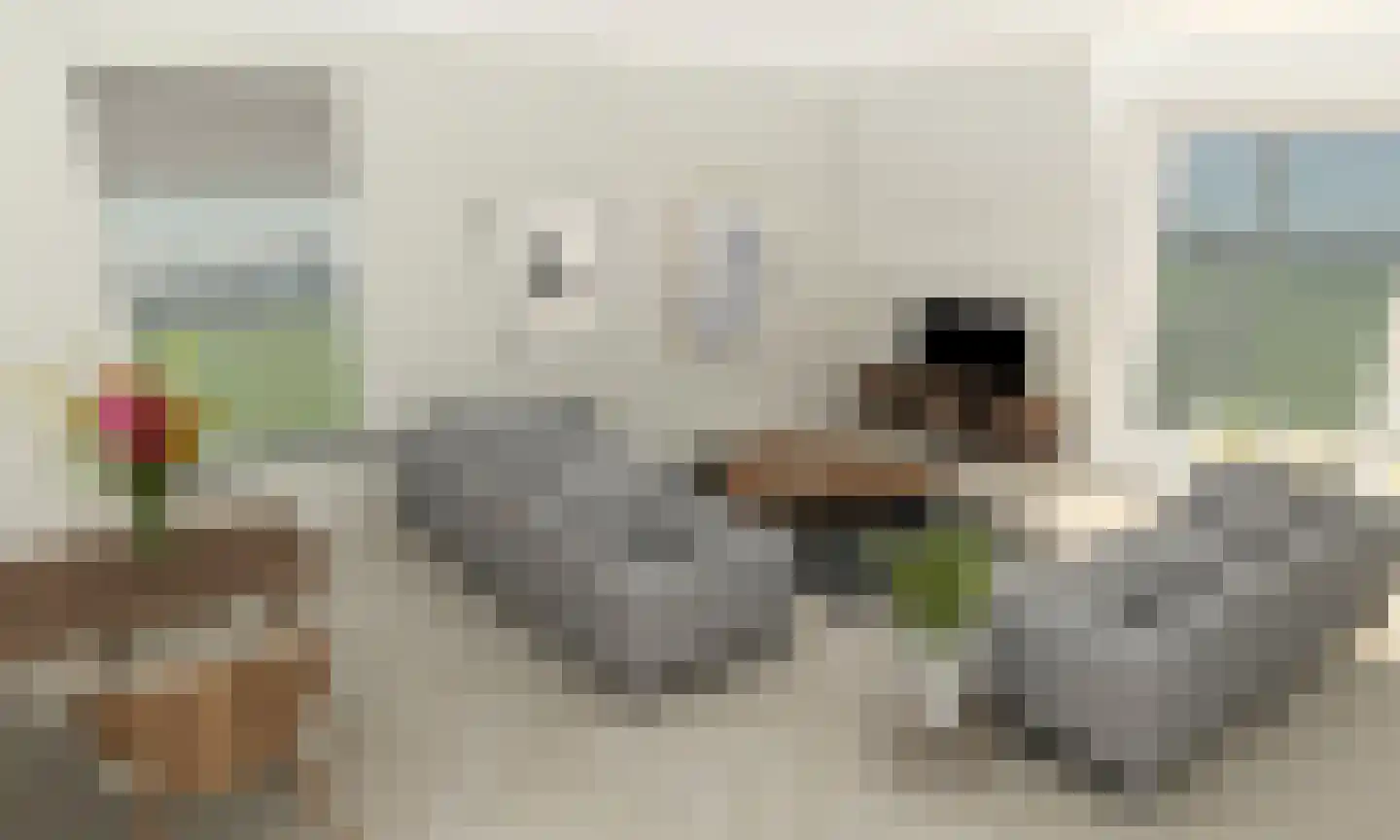 Brinkstraat 15 Vries thumbnail 6