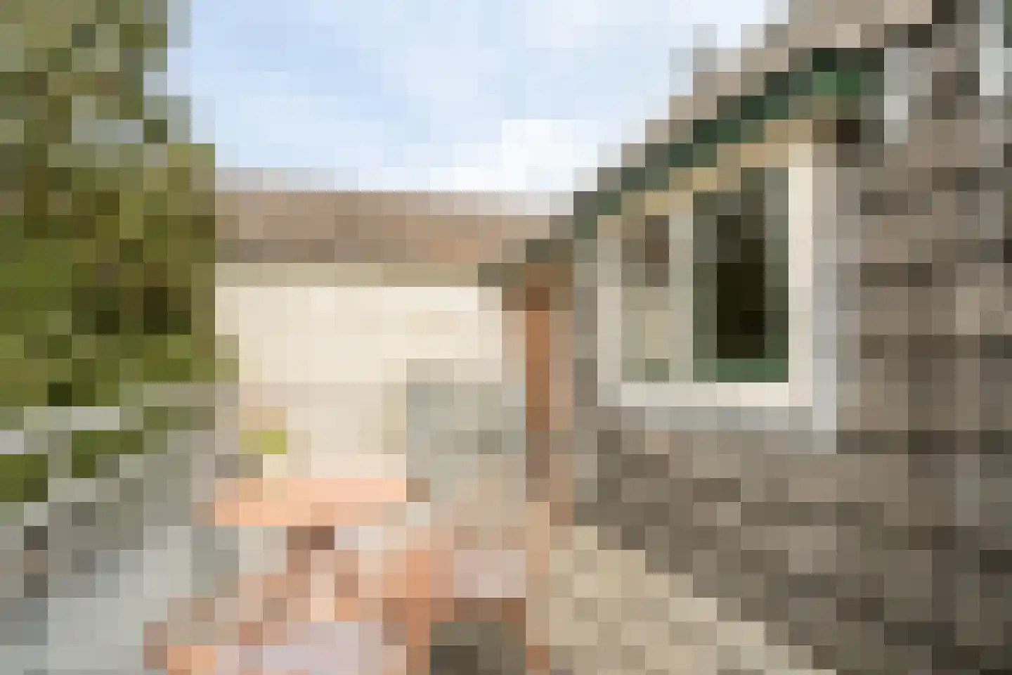 Brinkstraat 17 A Baarn thumbnail 6