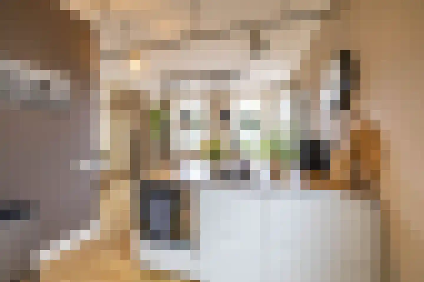 Brinkstraat 17 Vries thumbnail 32
