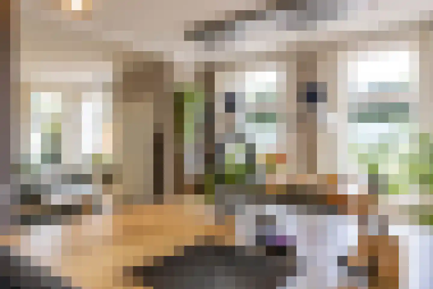Brinkstraat 17 Vries thumbnail 33