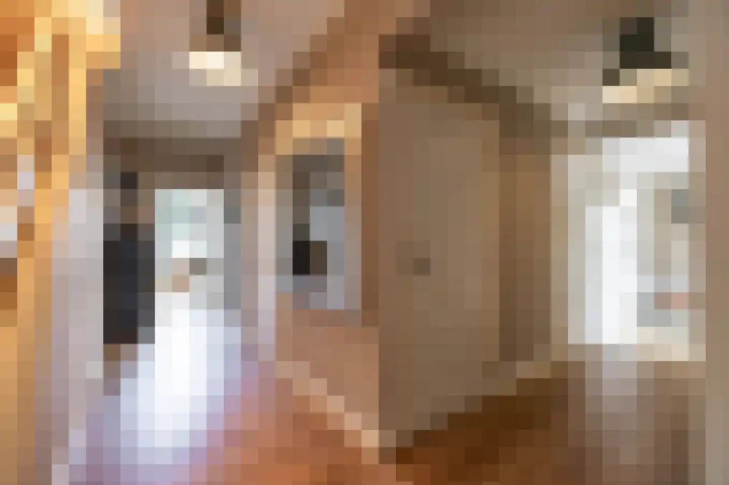 Brinkstraat 17 Vries thumbnail 37