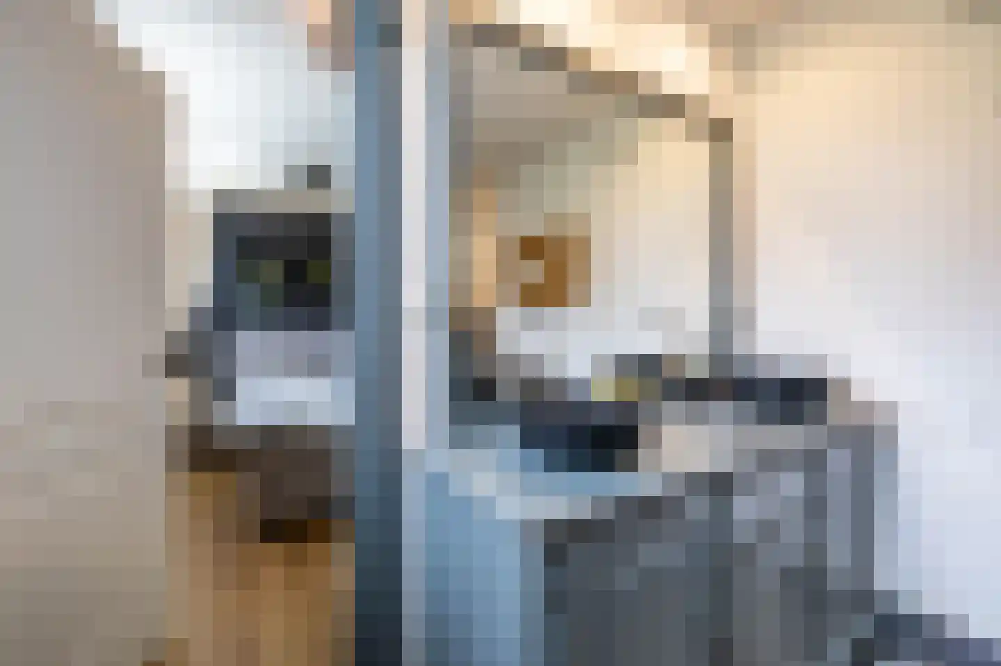 Brinkstraat 17 Vries thumbnail 47