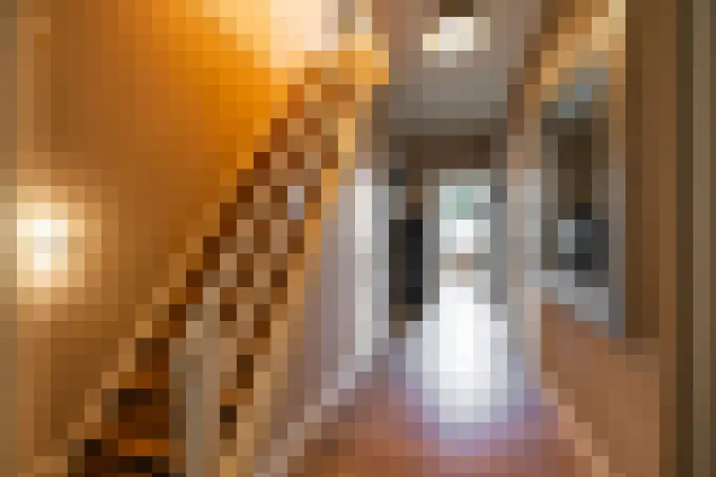 Brinkstraat 17 Vries thumbnail 52