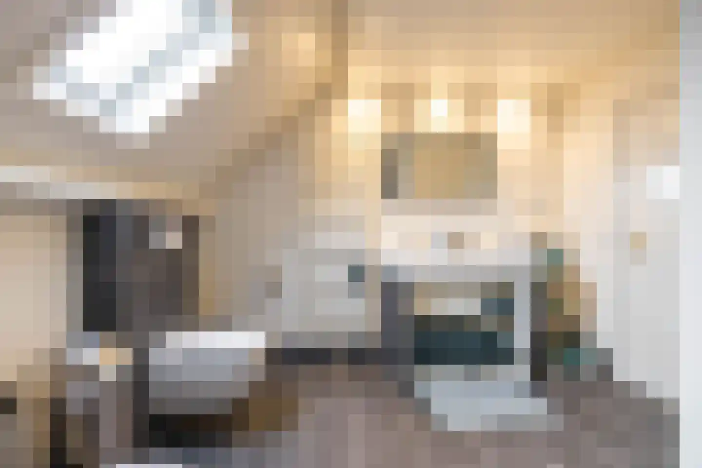 Brinkstraat 17 Vries thumbnail 66