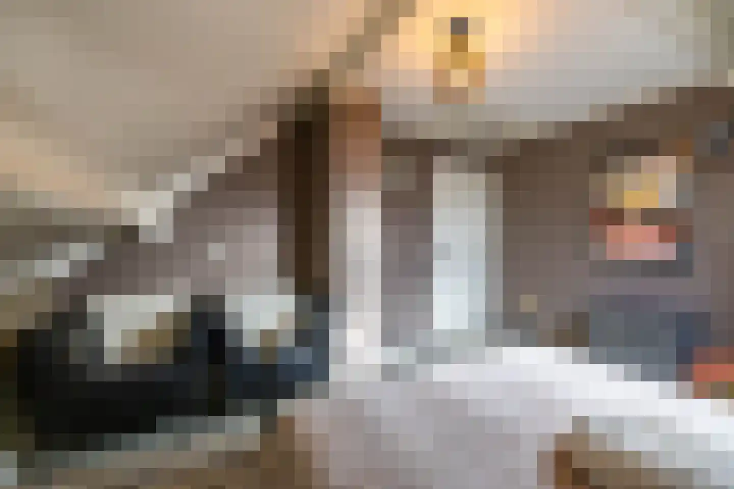 Brinkstraat 17 Vries thumbnail 69