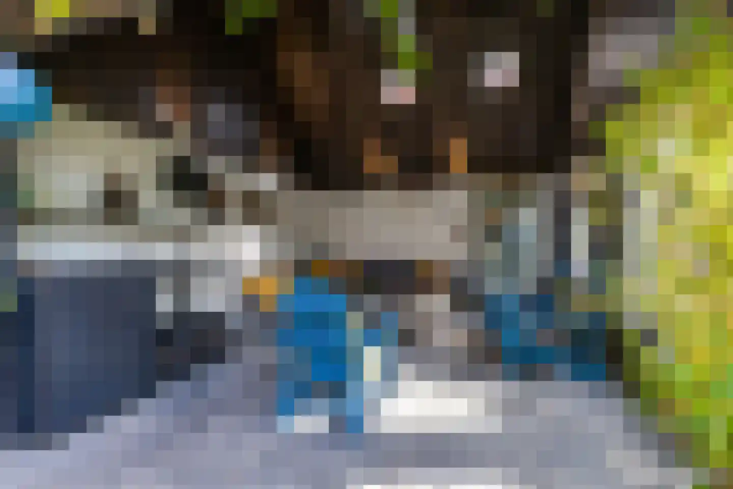 Brinkstraat 17 Vries thumbnail 7