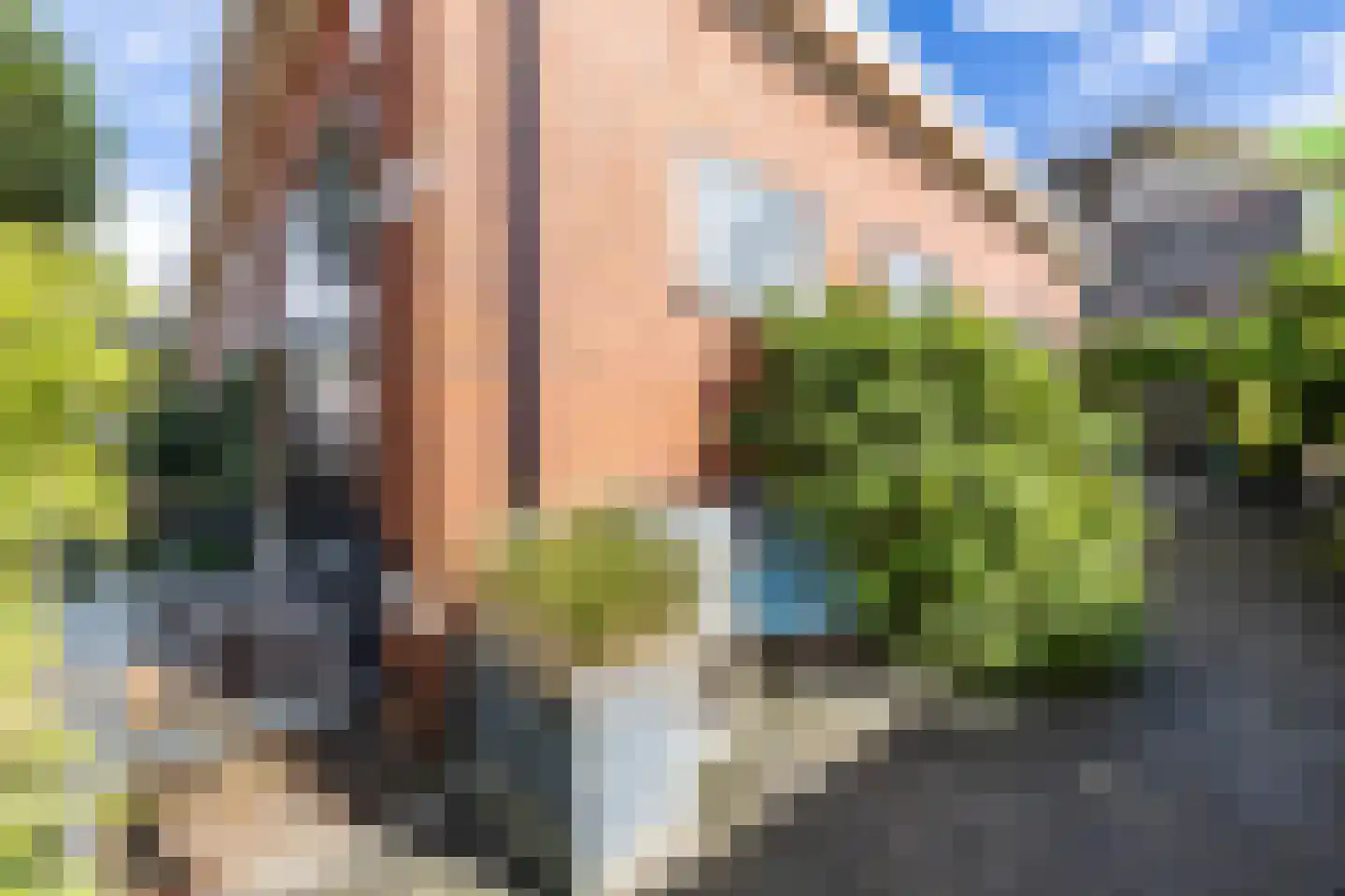 Brinkstraat 17 Vries thumbnail 77