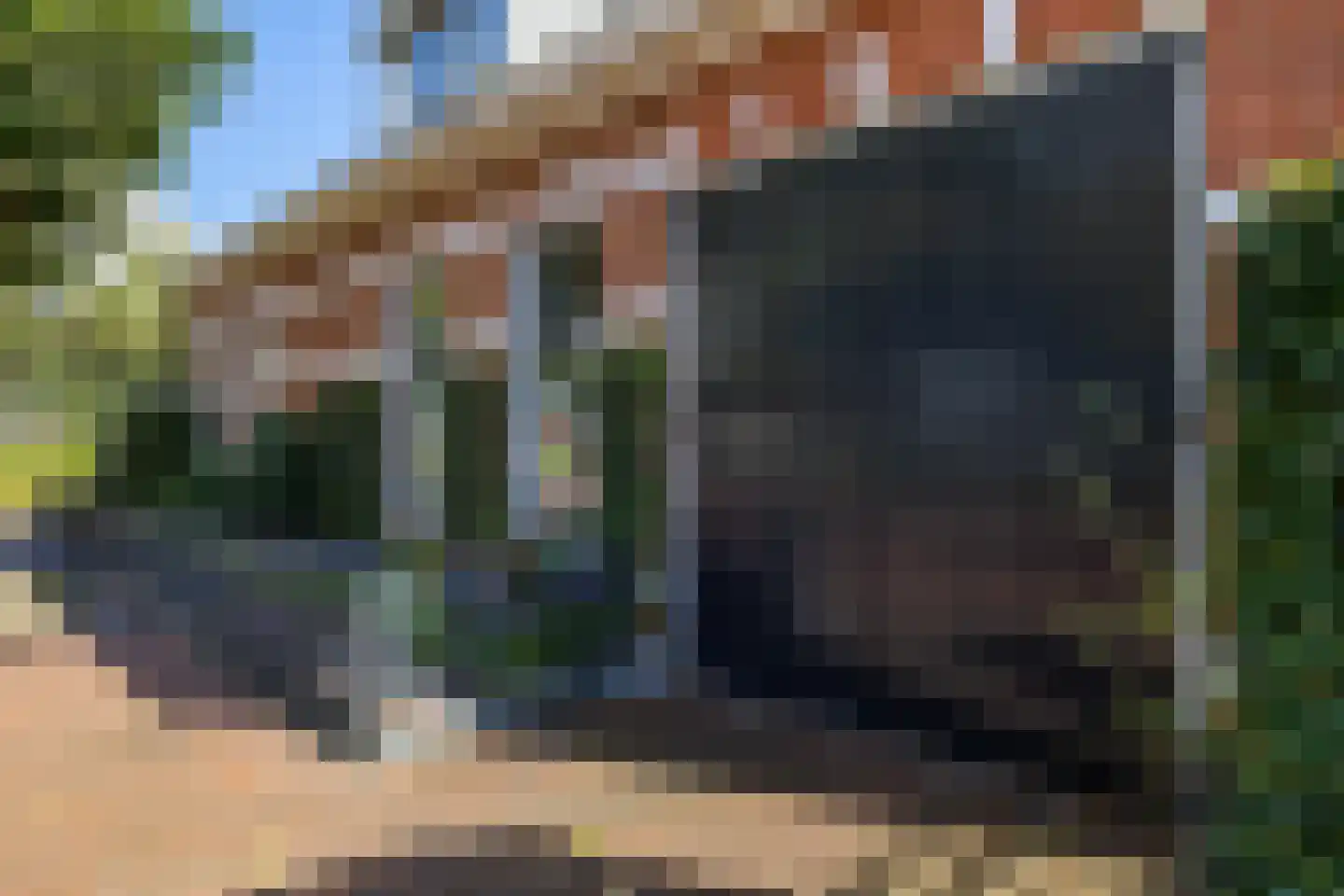 Brinkstraat 17 Vries thumbnail 81