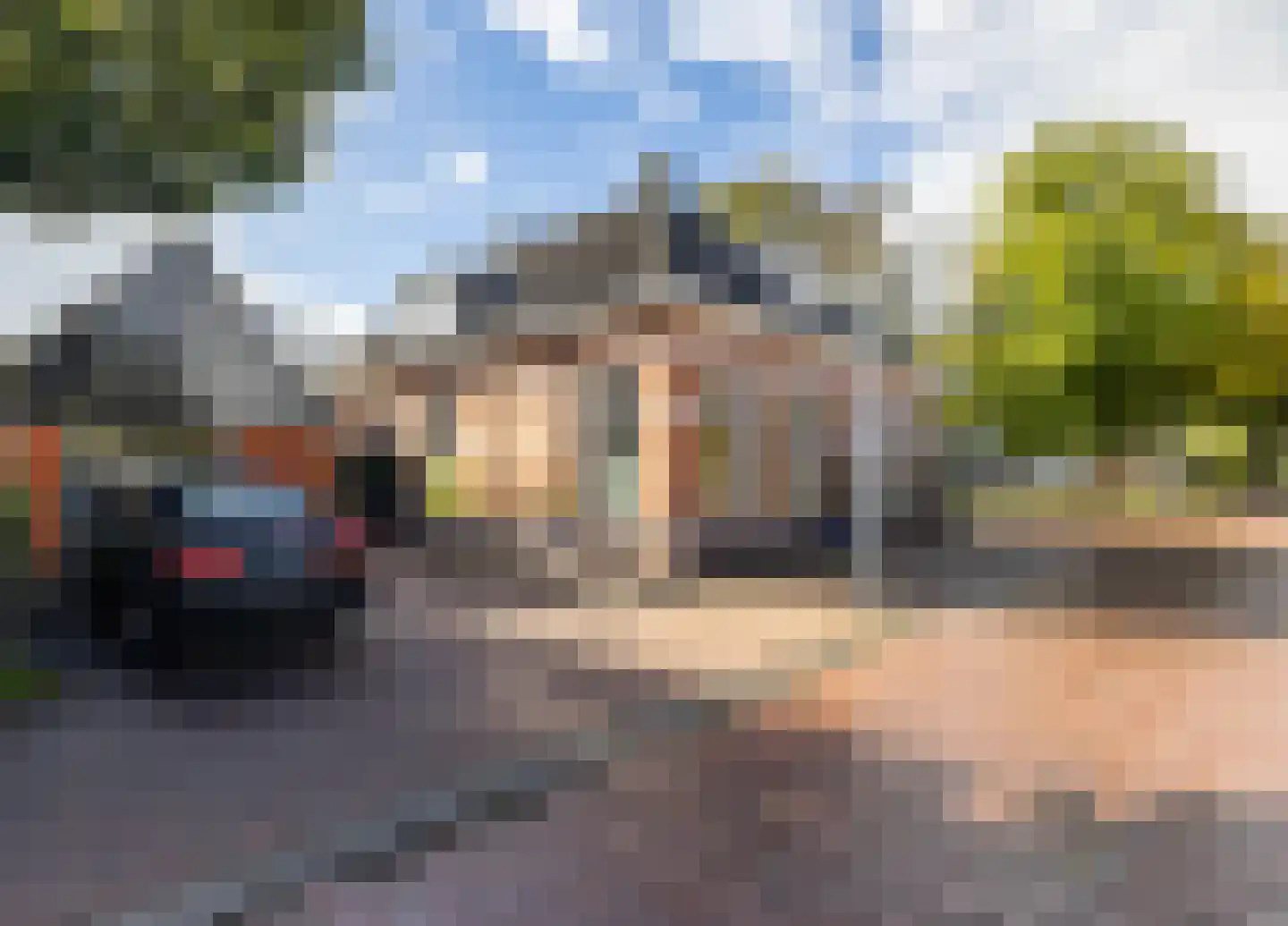 Brinkstraat 17 Vries thumbnail 83