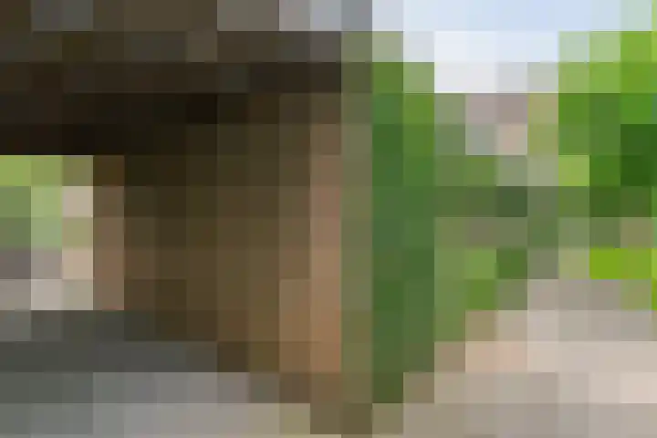 Brinkstraat 18 Hardenberg thumbnail 100