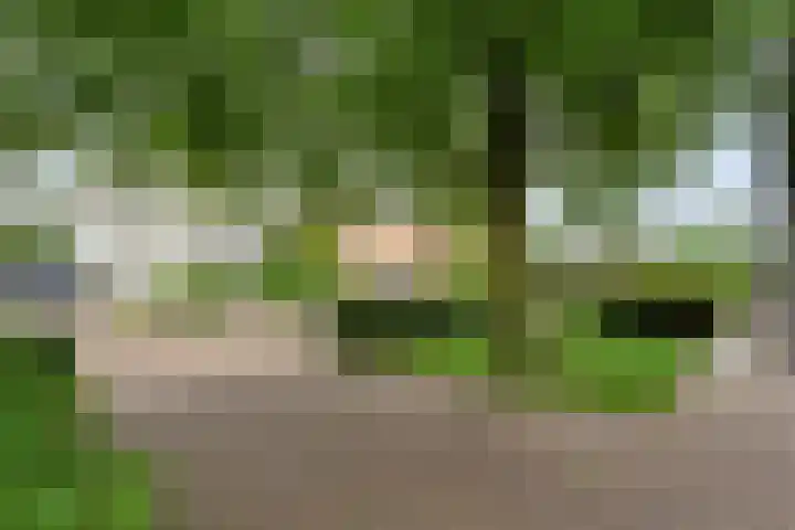 Brinkstraat 18 Hardenberg thumbnail 101