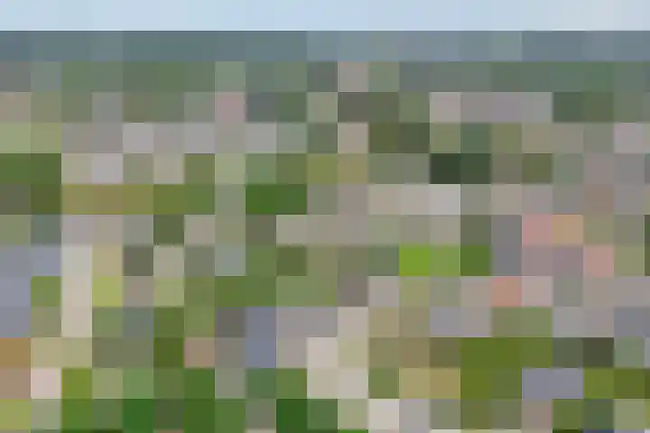 Brinkstraat 18 Hardenberg thumbnail 102
