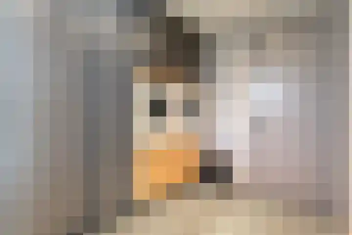 Brinkstraat 18 Hardenberg thumbnail 20