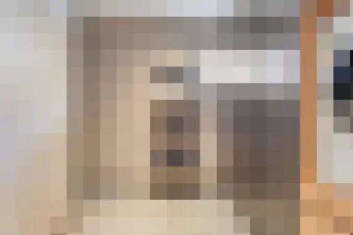 Brinkstraat 18 Hardenberg thumbnail 21