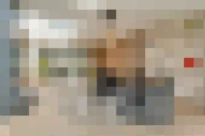 Brinkstraat 18 Hardenberg thumbnail 27