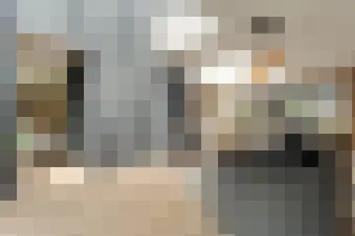 Brinkstraat 18 Hardenberg thumbnail 29