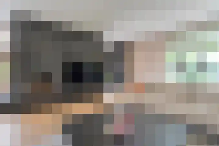 Brinkstraat 18 Hardenberg thumbnail 30
