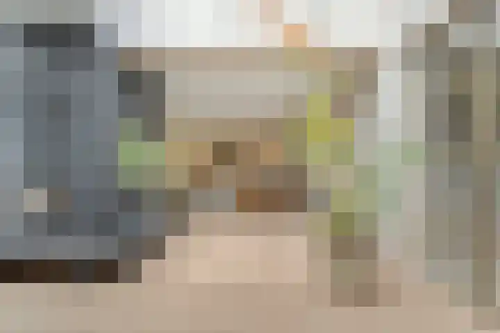 Brinkstraat 18 Hardenberg thumbnail 31