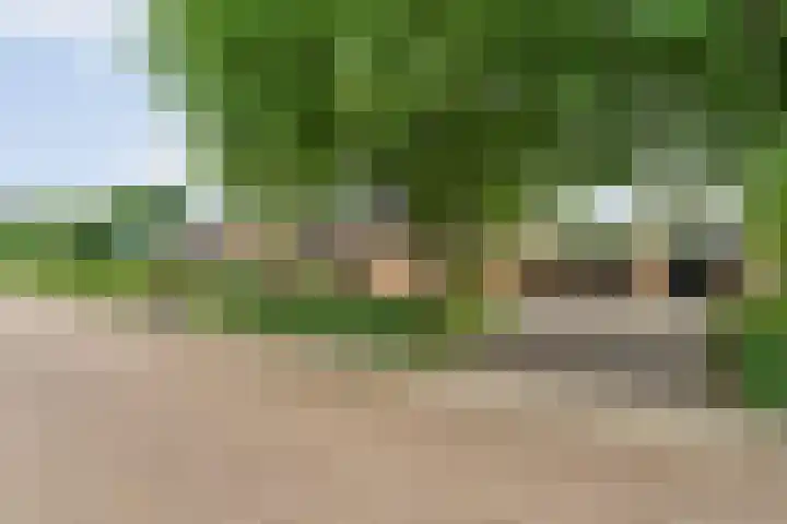 Brinkstraat 18 Hardenberg thumbnail 4