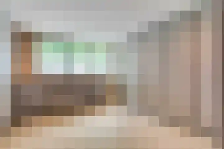 Brinkstraat 18 Hardenberg thumbnail 42