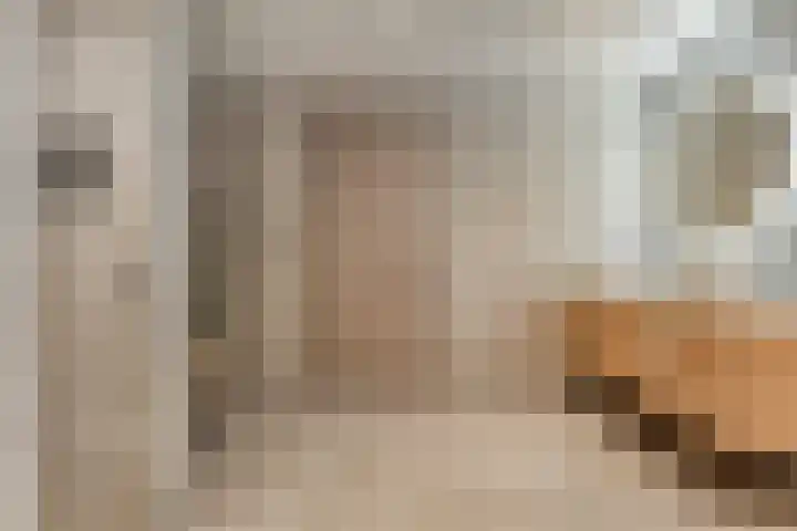 Brinkstraat 18 Hardenberg thumbnail 52