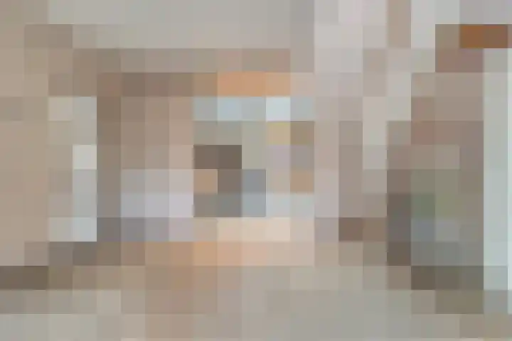 Brinkstraat 18 Hardenberg thumbnail 6
