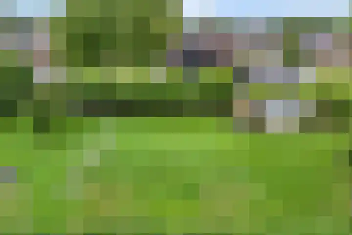 Brinkstraat 18 Hardenberg thumbnail 74