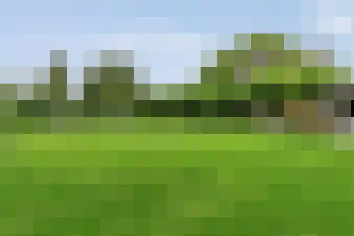 Brinkstraat 18 Hardenberg thumbnail 75