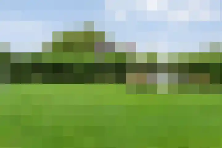 Brinkstraat 18 Hardenberg thumbnail 76
