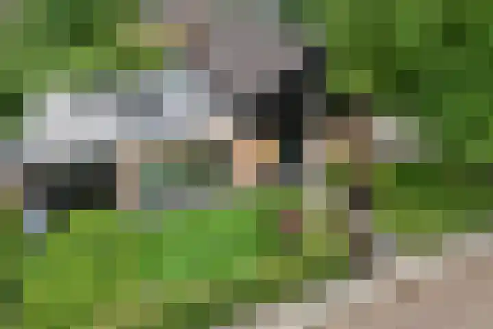 Brinkstraat 18 Hardenberg thumbnail 79
