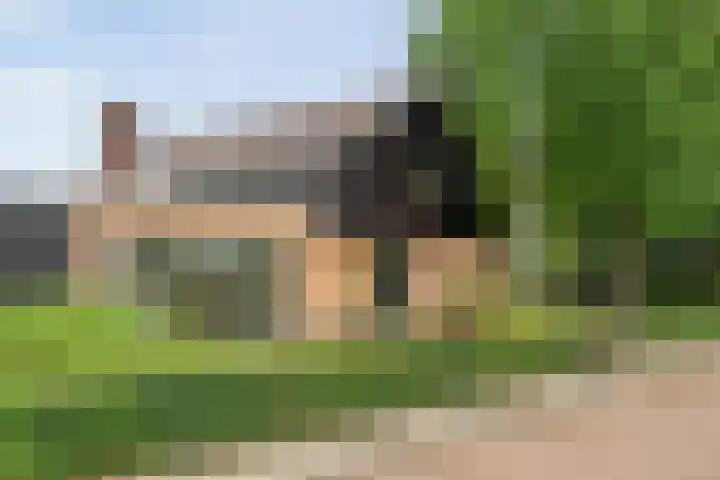 Brinkstraat 18 Hardenberg thumbnail 81