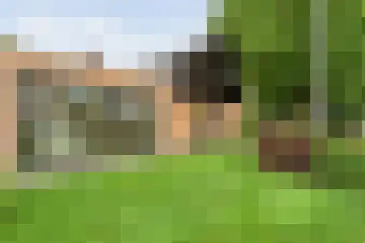 Brinkstraat 18 Hardenberg thumbnail 83
