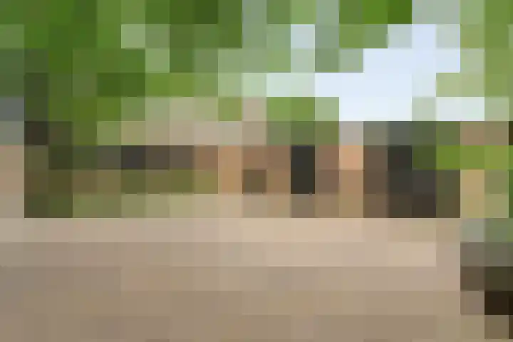 Brinkstraat 18 Hardenberg thumbnail 85