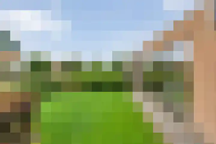 Brinkstraat 18 Hardenberg thumbnail 90