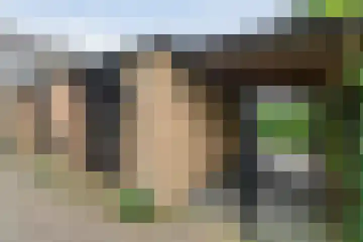 Brinkstraat 18 Hardenberg thumbnail 93