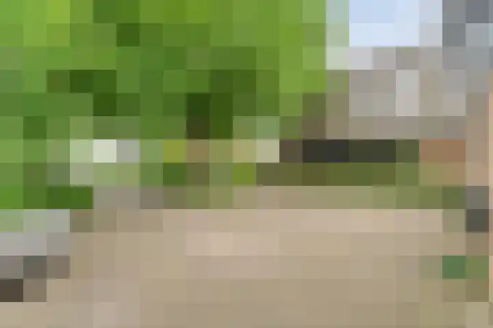 Brinkstraat 18 Hardenberg thumbnail 95