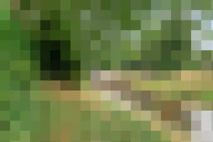 Brinkstraat 18 Hardenberg thumbnail 97