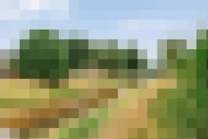 Brinkstraat 18 Hardenberg thumbnail 98