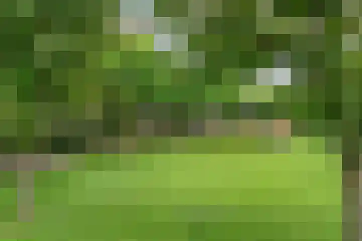 Brinkstraat 18 Hardenberg thumbnail 99