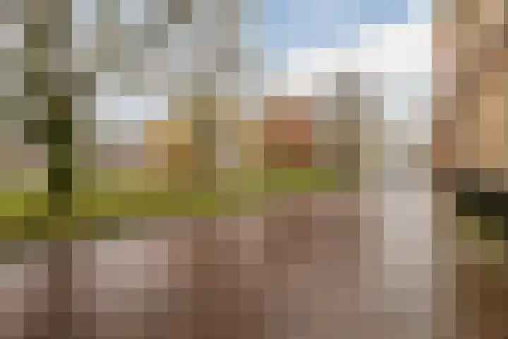 Brinkstraat 19 Assen thumbnail 32