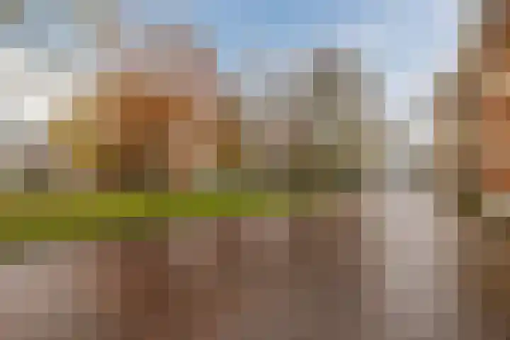 Brinkstraat 19 Assen thumbnail 33