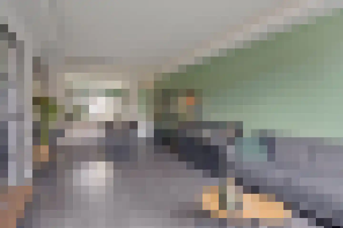 Brinkstraat 20 Musselkanaal thumbnail 4