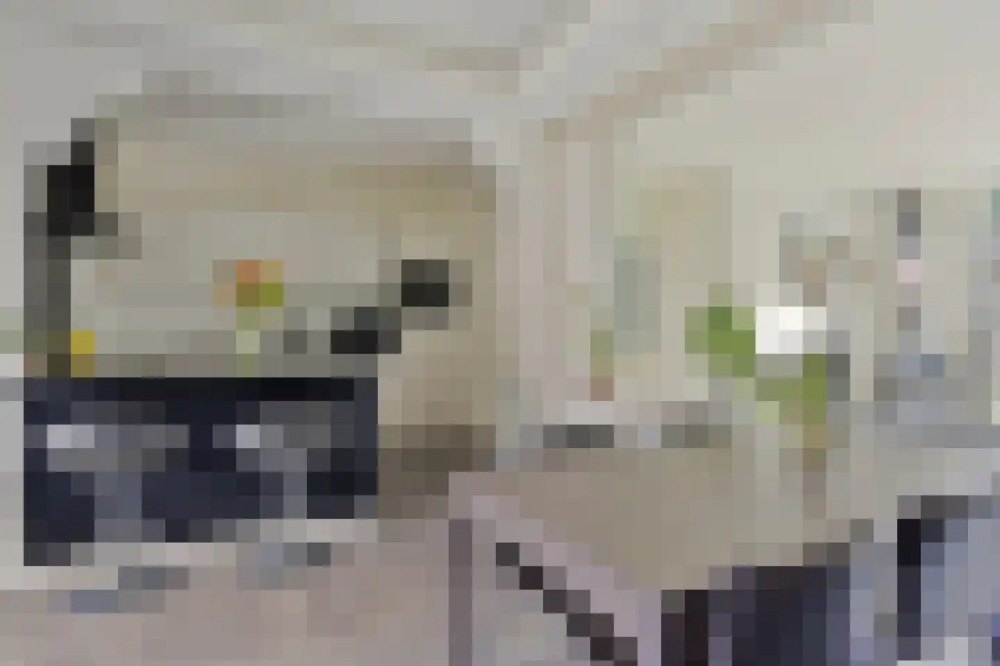 Brinkstraat 20 Musselkanaal thumbnail 8