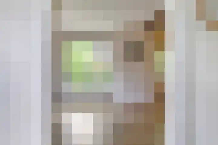 Brinkstraat 21 Diever thumbnail 12